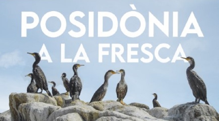 imatge de l'acte